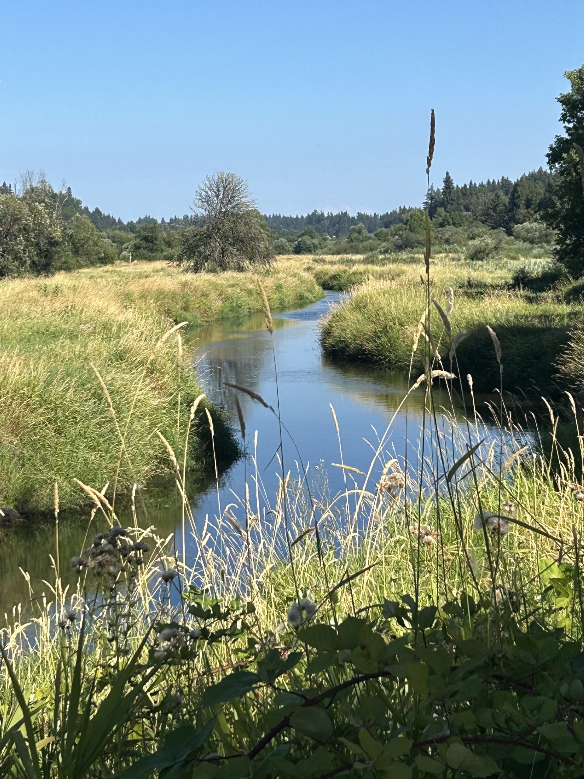 Salmon Creek, WA