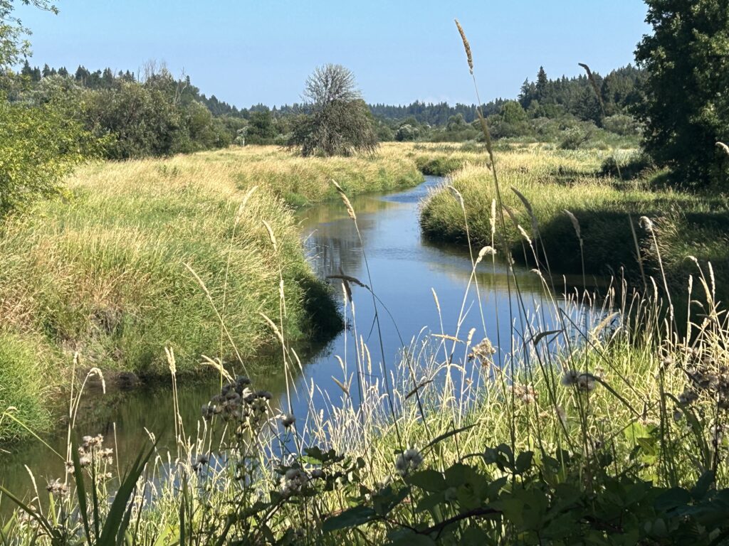 Salmon Creek, WA